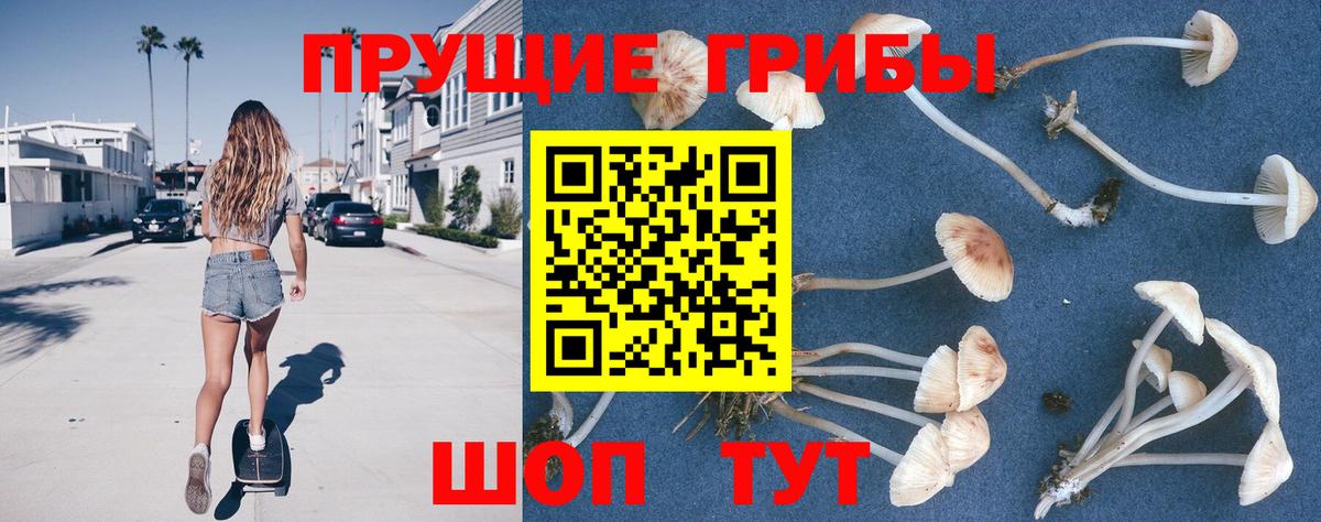 Псилоцибиновые грибы прущие грибы Чернушка