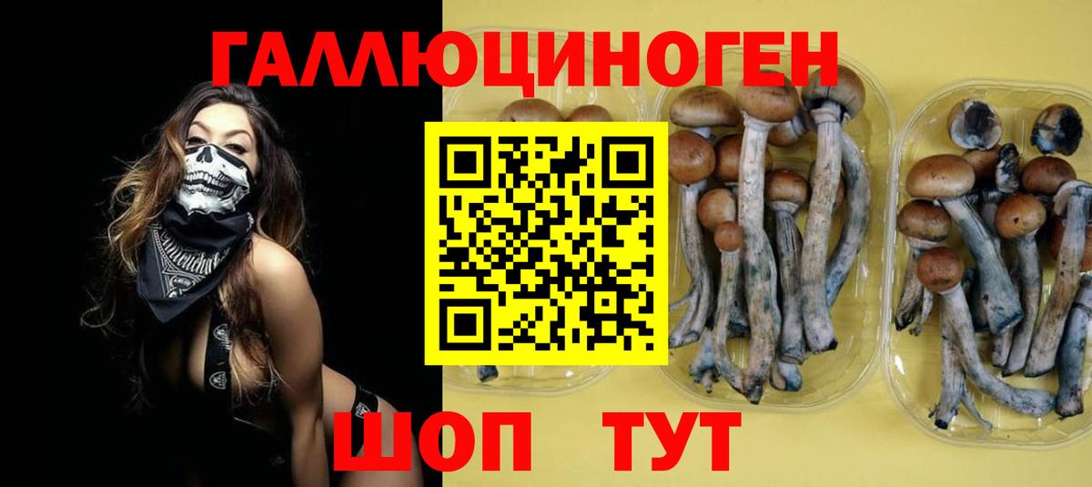 наркошоп  Вход с VPN  Чернушка  Галлюциногенные грибы мухоморы  Галлюциногенные грибы ЛСД 