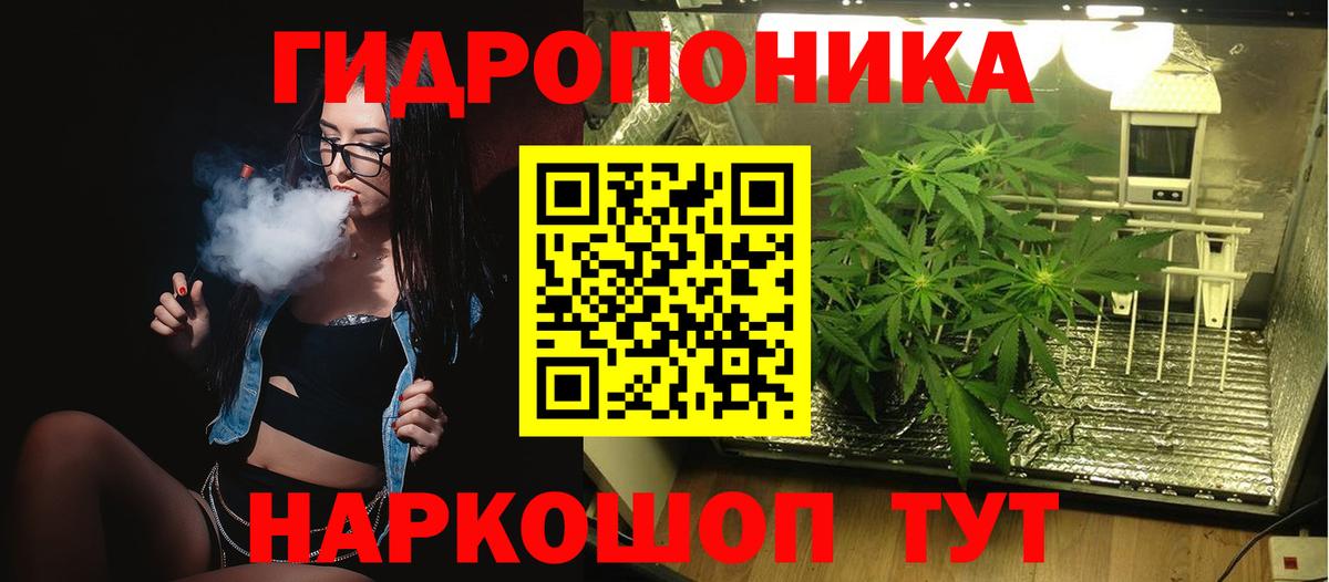 Чернушка  Конопля MAZAR  МАРИХУАНА ГИДРОПОН  Вход с VPN  Канабис сатива 