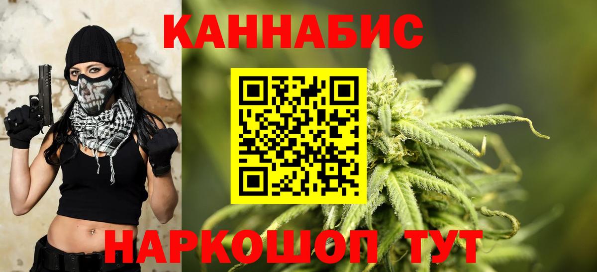 Марихуана сатива Чернушка